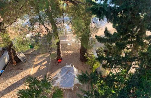 Seaside Apartment Padre - Photo 18