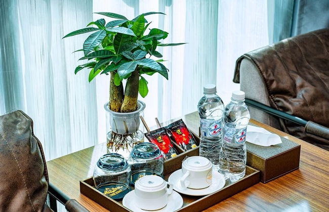 The King Hotel condotel Thai Nguyen - Foto 7