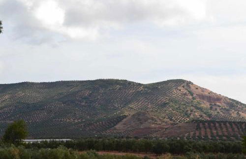 Finca el Vizconde - Naturaleza con tus hijos - Foto 24