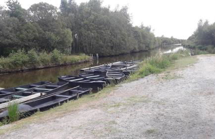 Gîte les 3 petits porcelets - Foto 28