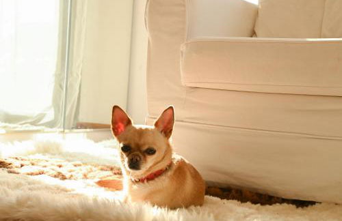 Villa Alegre Playa Calpe Grupo Terra de Mar, alojamientos con encanto - Foto 68