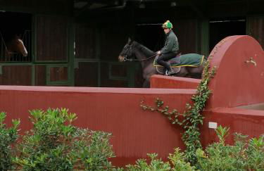 Le Vecchie Scuderie - Foto 35