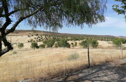 A casa da Carolina II - Foto 41