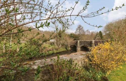 Thrushel Cottage - Foto 18