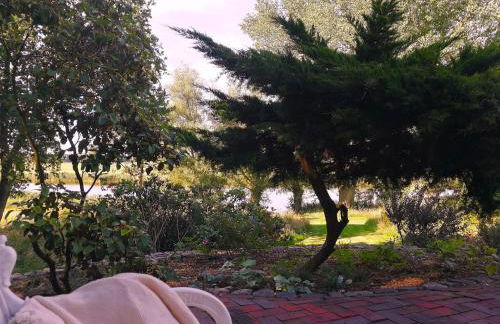 Reetdachhaus direkt am Wasser - Foto 21