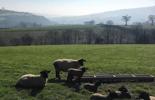 Characterful, Cosy Dartmoor Cottage - Foto 30