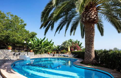 Villa Kamelia - Photo 32