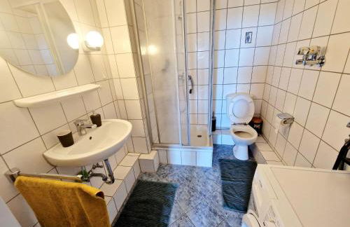 Cozy apartment in Auerbach, 55 m², mountain view - Foto 10