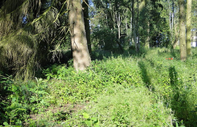 Bispinger Heidezauber - Foto 28