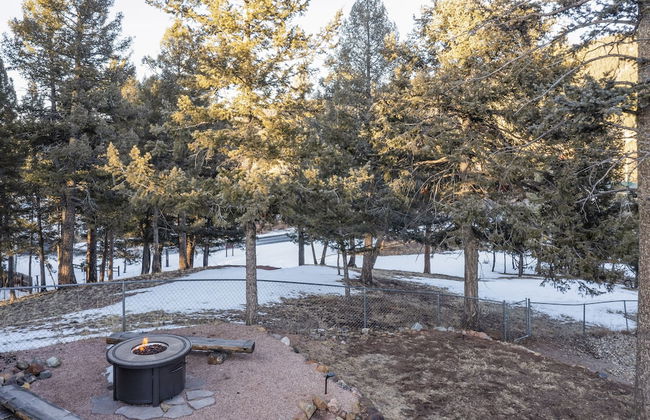 Cedar Chalet - Photo 70