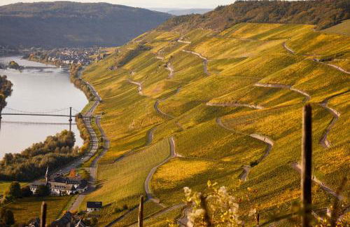 Winzerhaus 1658 - Ferienwohnung und Apartments - Foto 35