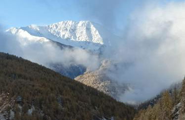 Les Hauts du Roux - Photo 11