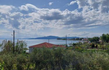 Platanidia Apartment Pelion - Foto 25