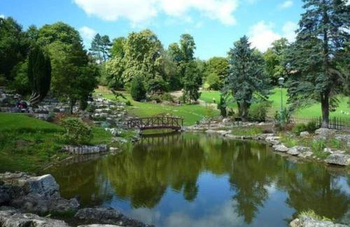 Large 2 Bedroom City Centre Apartment + Parking - Photo 15