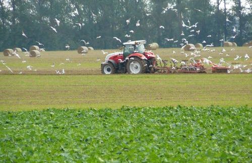 Ferienhaus am Radwanderweg - Foto 23