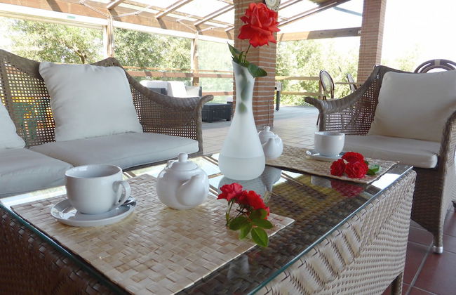 Fattoria di Colleoli - Foto 56