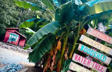 Secluded Watertree Tiny House near Old Hickory Lake – Private Deck, Trails & Breakfast - Foto 73