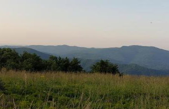 Domki pod Lipą. - Foto 60