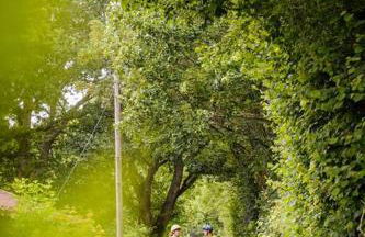 Blackberry Annex. Detached cottage. Rural location - Foto 19