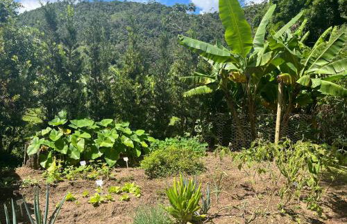 Casa em Friburgo com piscina, lareira suíte & quarto ATENCAO SABADO DIA 18 DE ABRIL TERA FESTA NA CHACARA - Foto 42