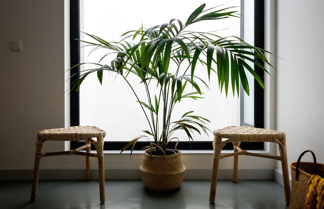 Casa do Vento - Foto 21