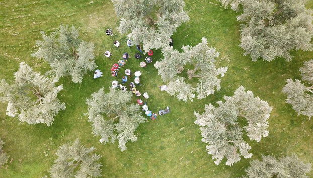 Oleotourism in Navarre. Visit and tasting of organic EVOO Artajo - Photo 4