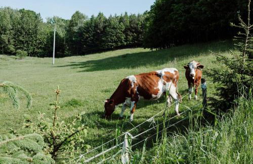 Dom pod Lipami - Foto 31