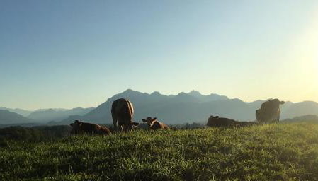 Feichten Glück 16 - Photo 4