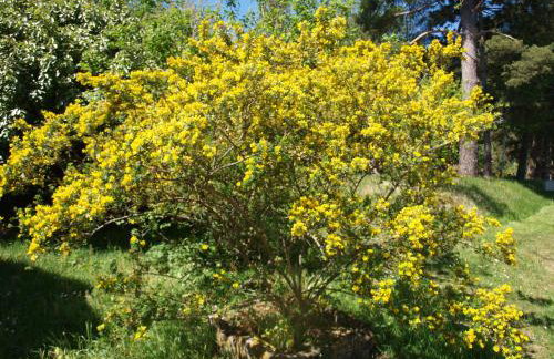 Domaine de la Cipière - Foto 44