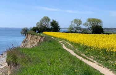 Ferienhaus Piratennest - Foto 17