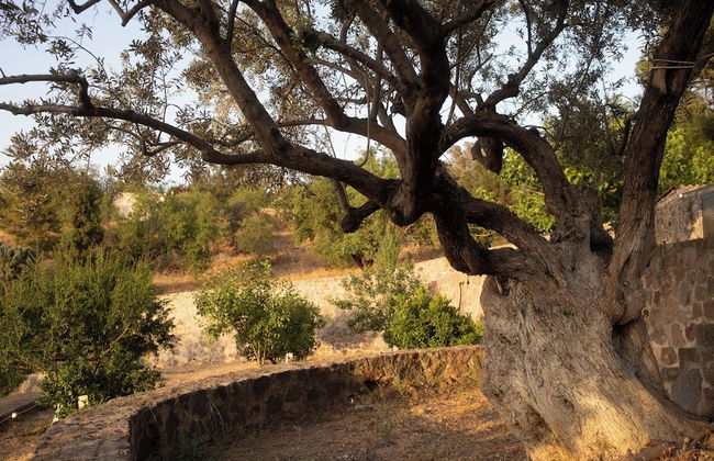 Terra Cassa Private Villa - Photo 76