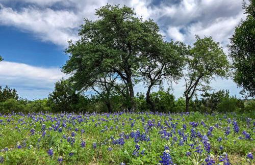 Modern Fischer House with Deck, Fire Pit and Hot Tub! - Foto 36