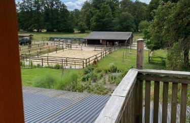 Ferienhof Trapp Heuhotel - Foto 110