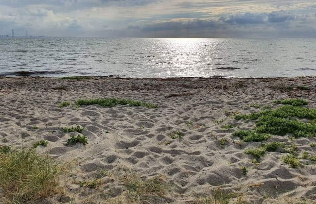 4 Star Holiday Home in Korsor - Foto 24