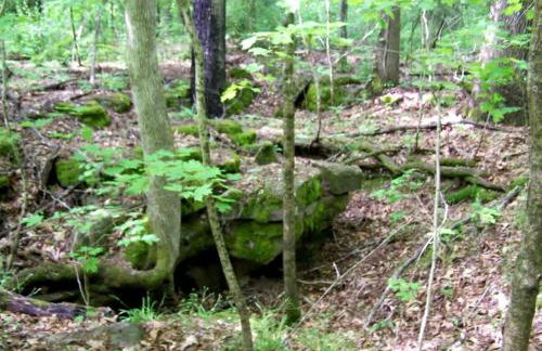 Hillbilly Chic Tiny House Near Nashville with WiFi, Kitchenette, Fire Pit & Trails - Foto 50