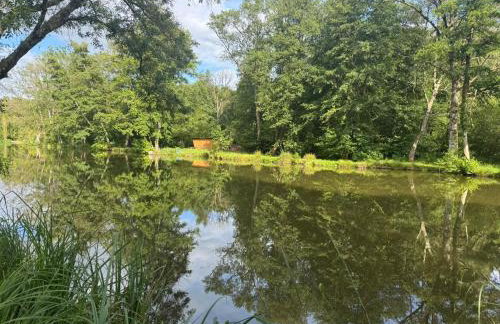 Grand gite rénové, jacuzzi, jardin, rivière, calme - Foto 59