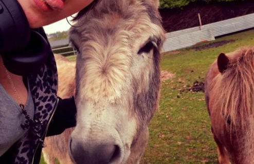 Robin Cabin with hot tub - Foto 39