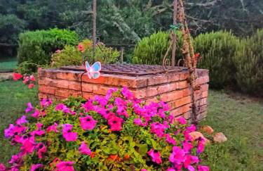 Castellare - Foto 53