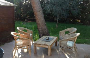 Gite au coeur de la Provence & SPA - Foto 9