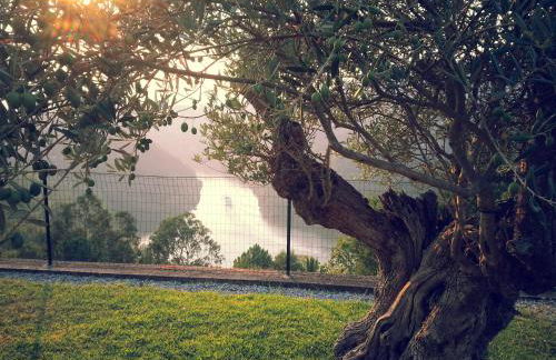 Quinta das Tílias Douro Valley - Foto 64