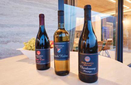 Villa Terra - Foto 18