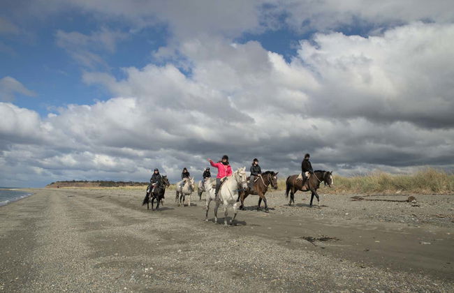 Paseo a caballo por la bahía de Agua Fresca - Foto 6