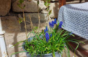 Ferienwohnung im idyllischen Jena Ziegenhain - Foto 29