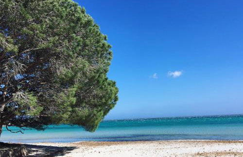 Appartement proche des plus belles plages - Foto 7