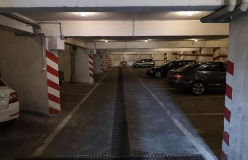 RiC Apart - Apartament Mostowa, centrum Poznań - parking - klimatyzacja - Photo 18