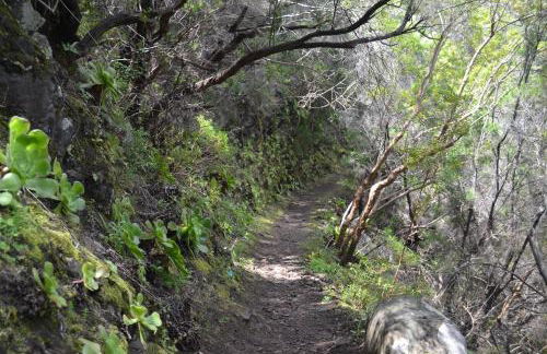 Casa Alexandra - Foto 12