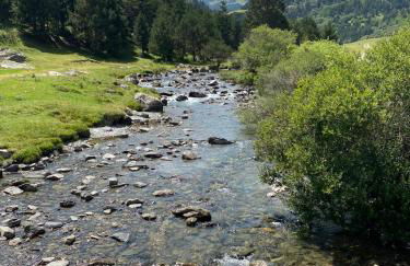 CHIC HUMARALET, pie de pistas, free parking - Foto 57