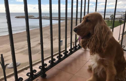 Sea You Apartamentos Valencia Port Saplaya - Foto 29