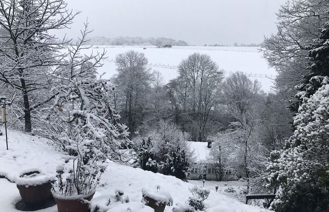 Scenic Holiday Home in Windeck With Garden - Foto 21