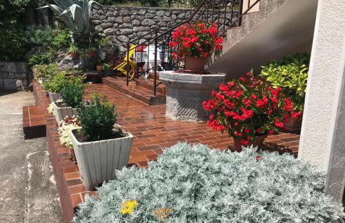 Apartman Elvis - Photo 26